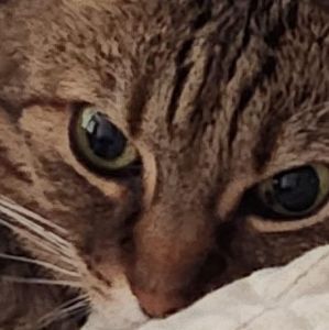 Meet your Posher, Tim